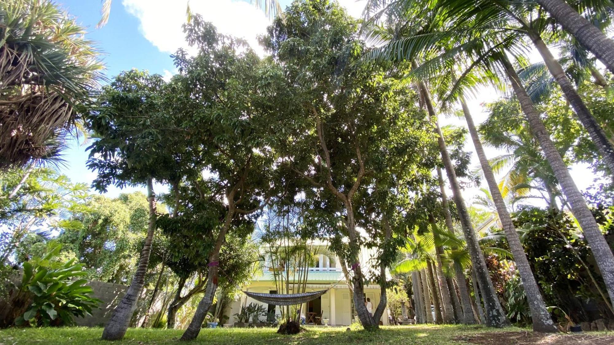 Coliver - Coliving A La Reunion Saint Pierre Zewnętrze zdjęcie