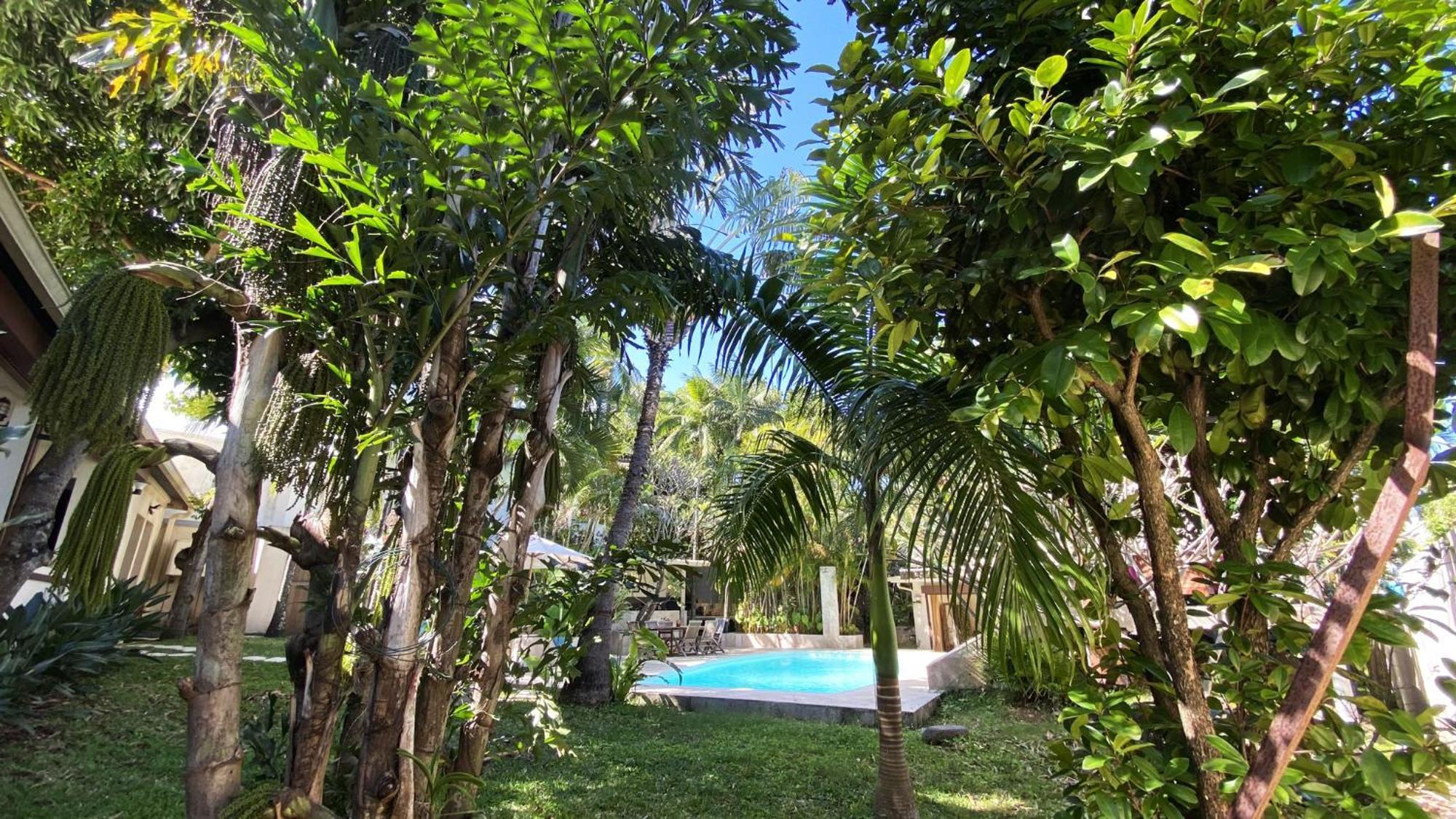 Coliver - Coliving A La Reunion Saint Pierre Zewnętrze zdjęcie
