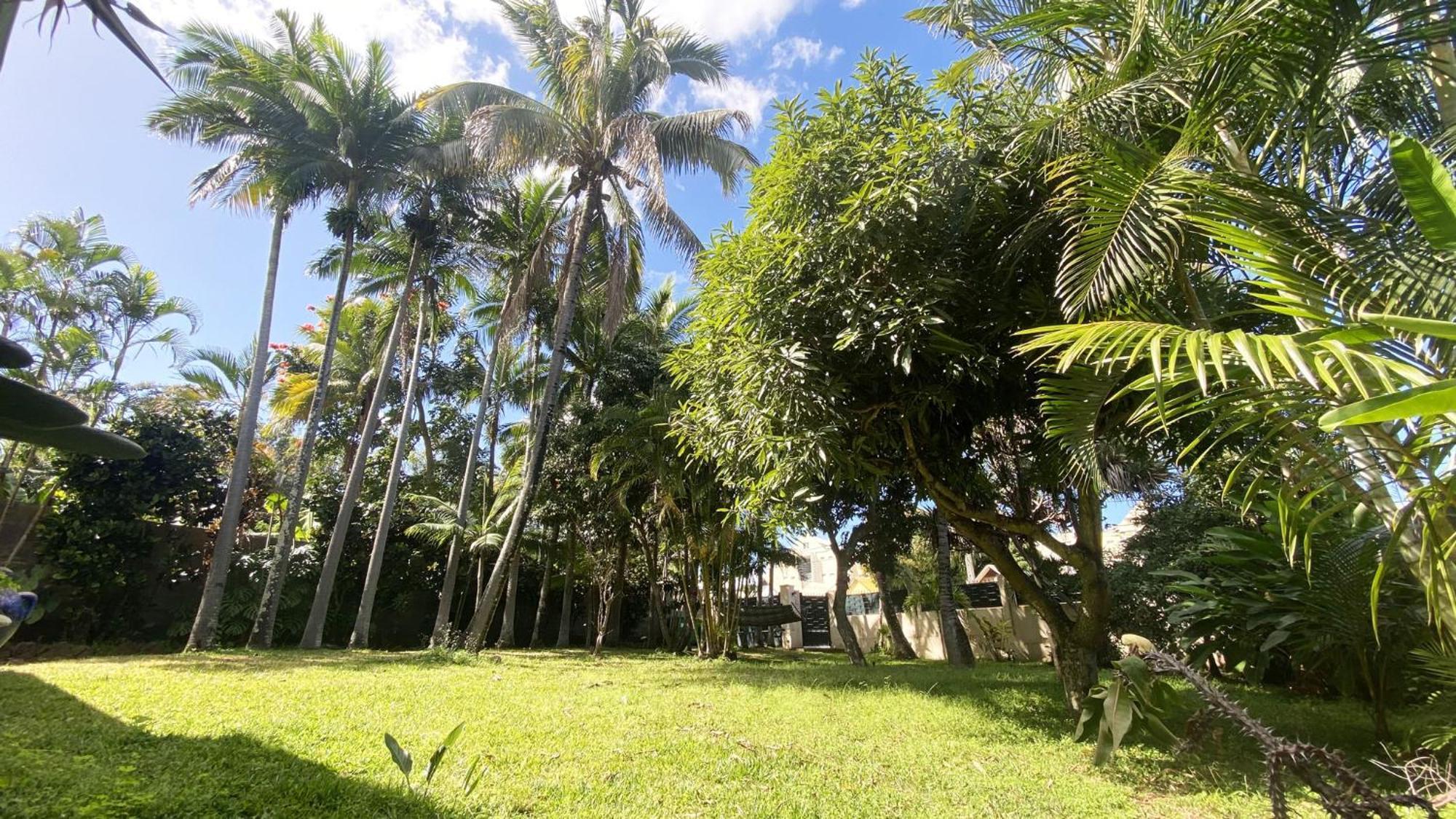 Coliver - Coliving A La Reunion Saint Pierre Zewnętrze zdjęcie