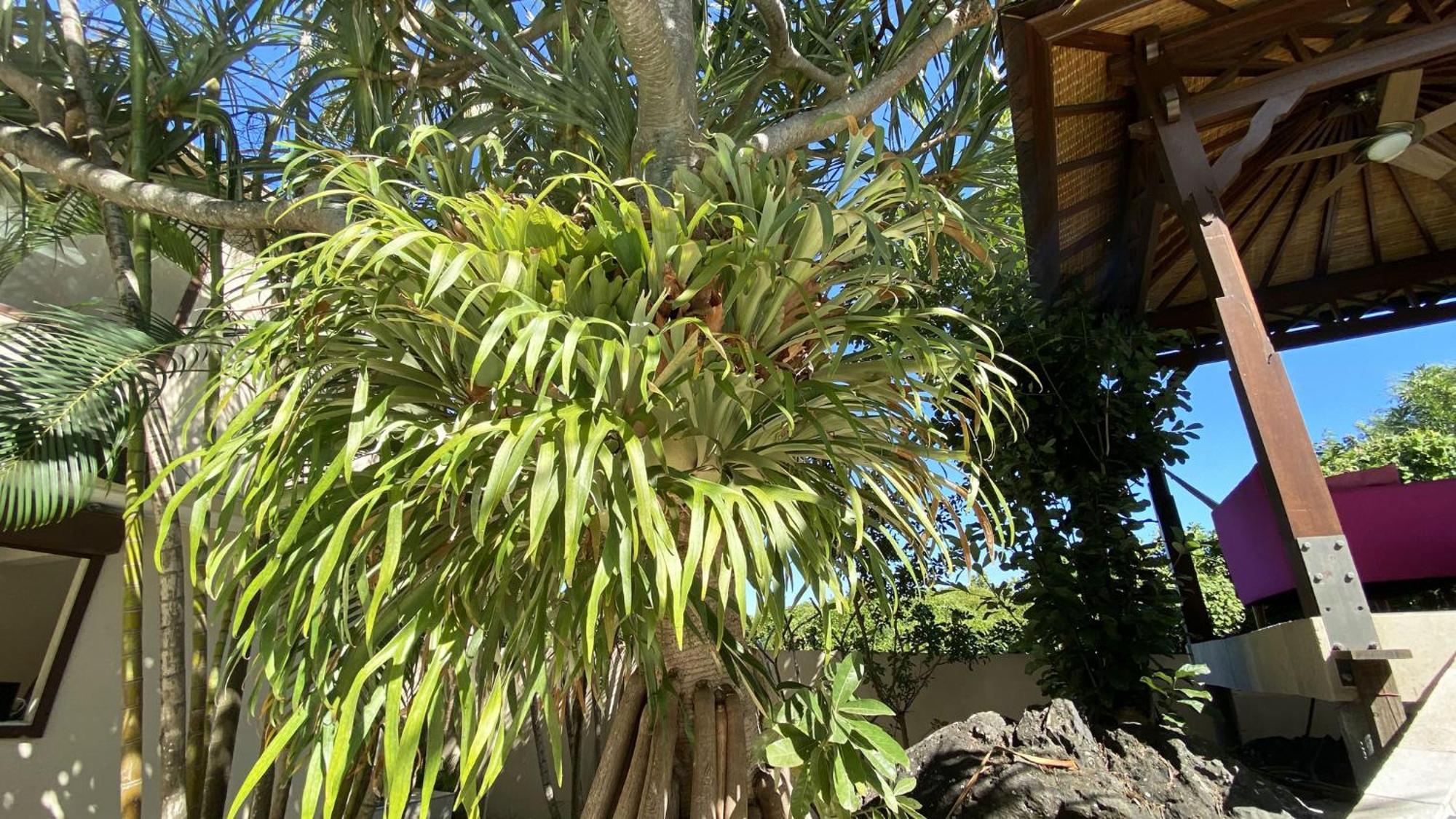 Coliver - Coliving A La Reunion Saint Pierre Zewnętrze zdjęcie