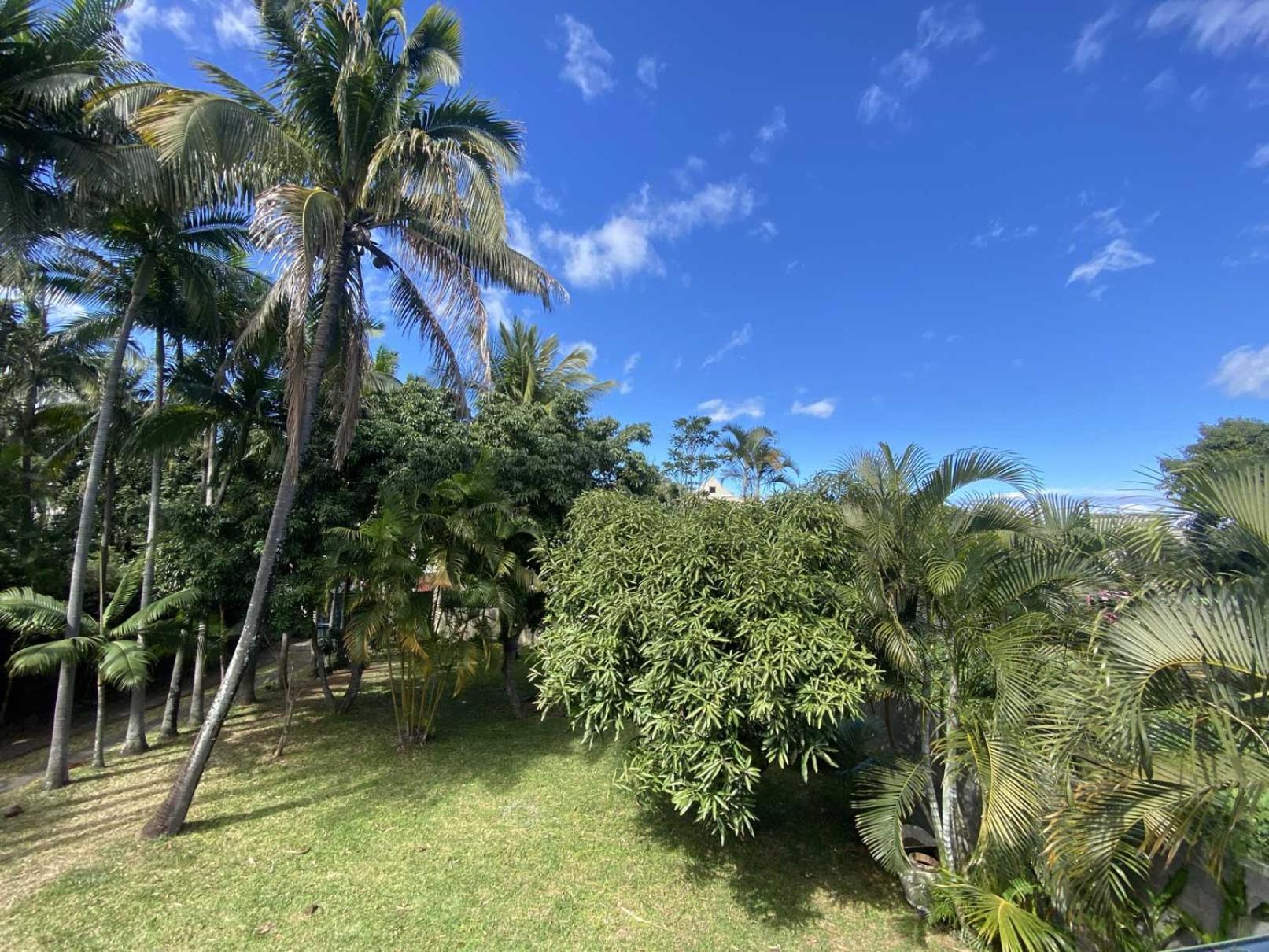 Coliver - Coliving A La Reunion Saint Pierre Zewnętrze zdjęcie