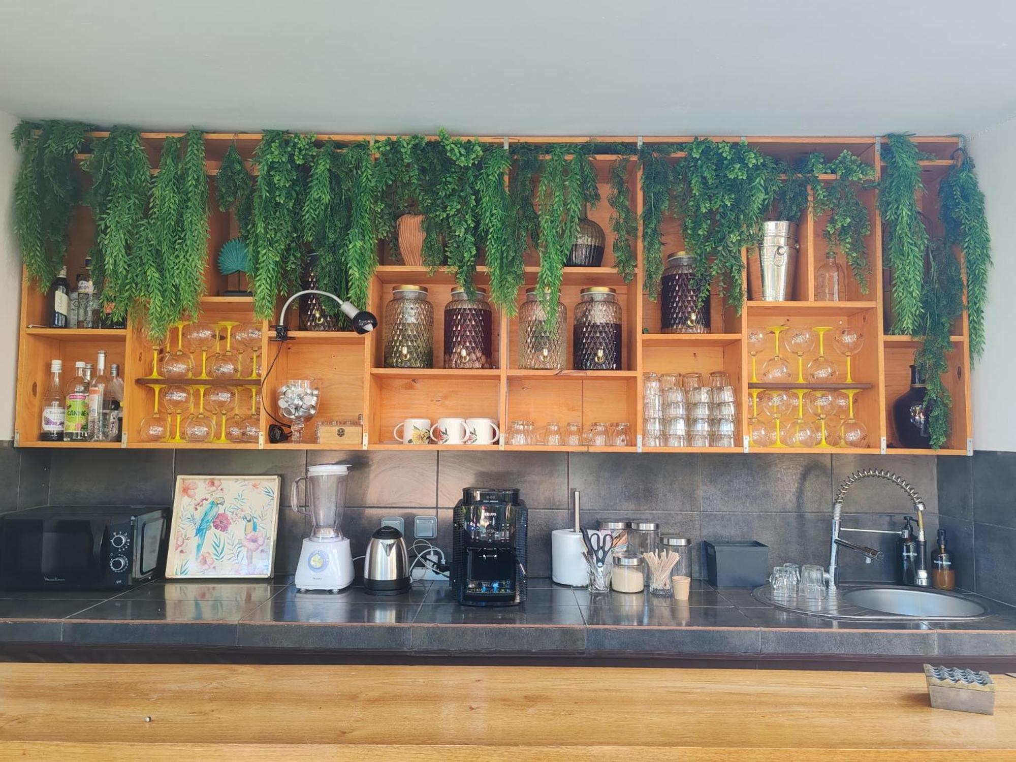 Coliver - Coliving A La Reunion Saint Pierre Zewnętrze zdjęcie